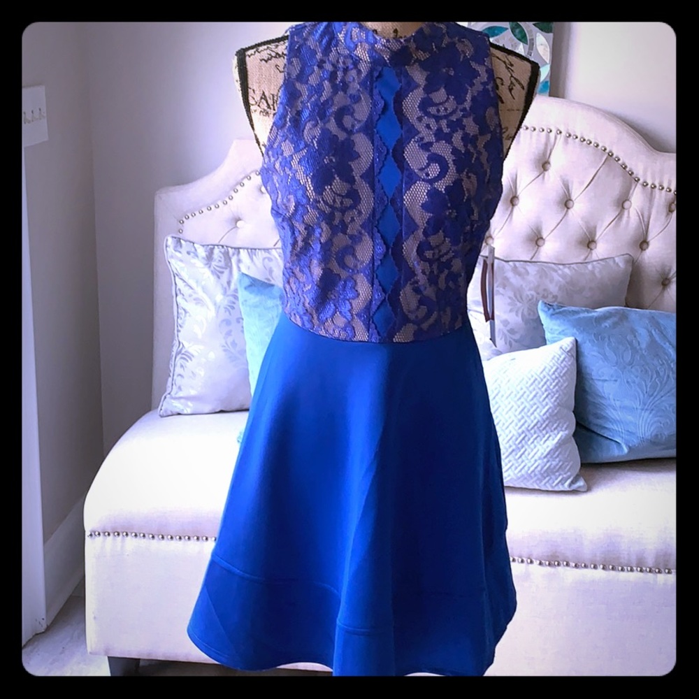 NWT Emerald & Sundae Royal Blue Sz Medium Dress